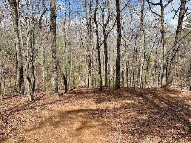 Lot 7 Whitleys Cove #7, MURPHY, North Carolina image 3