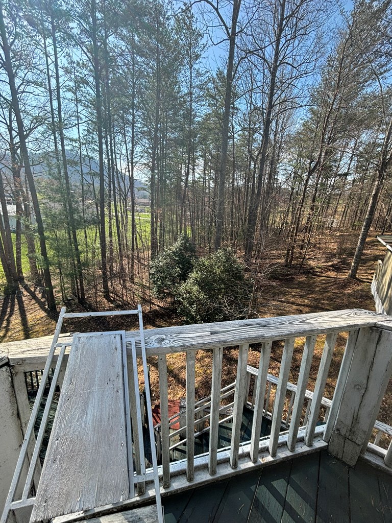 36 Benson Dr, BLAIRSVILLE, Georgia image 2
