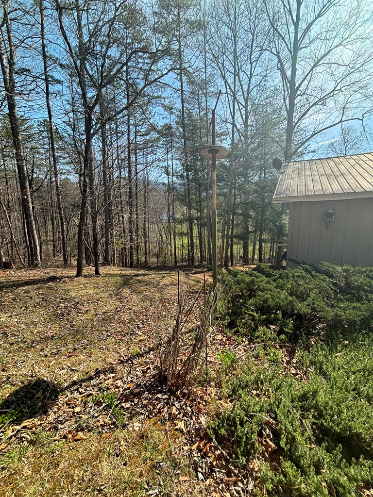 36 Benson Dr, BLAIRSVILLE, Georgia image 20