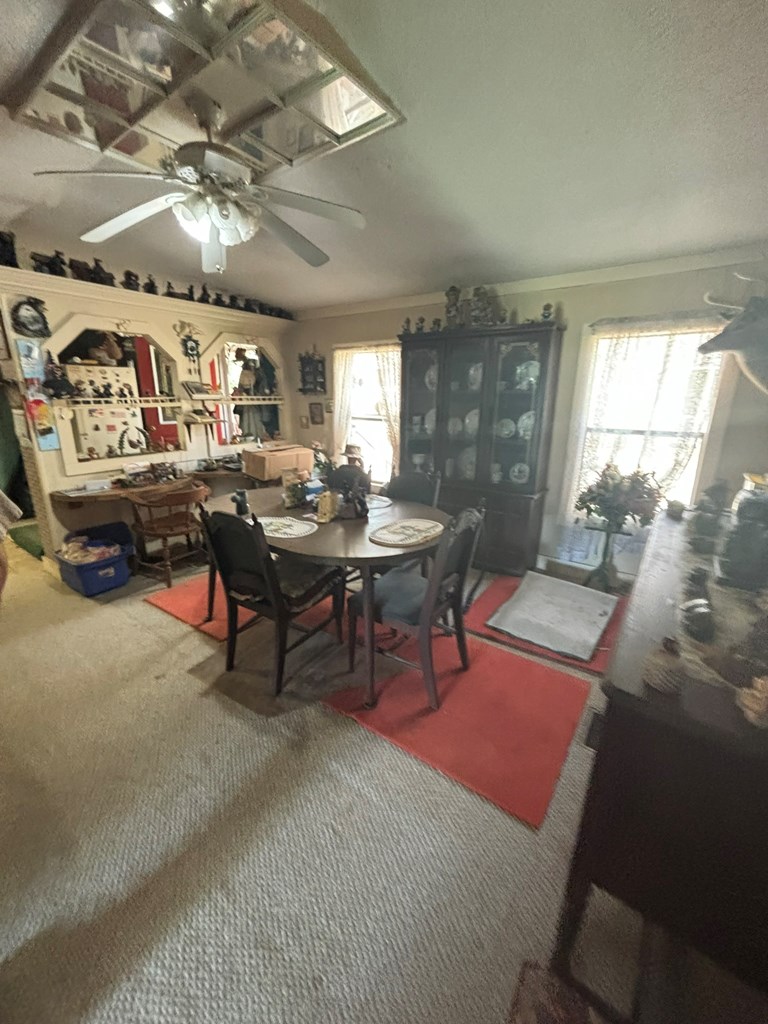 36 Benson Dr, BLAIRSVILLE, Georgia image 15