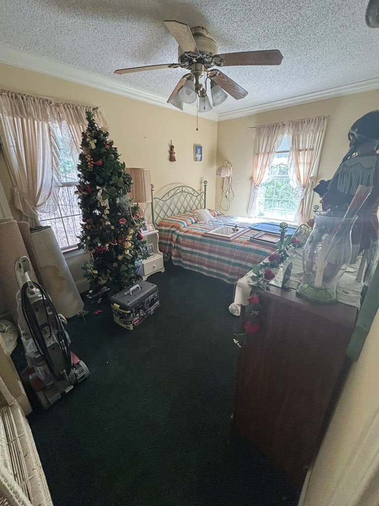 36 Benson Dr, BLAIRSVILLE, Georgia image 14