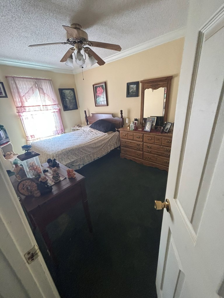 36 Benson Dr, BLAIRSVILLE, Georgia image 7