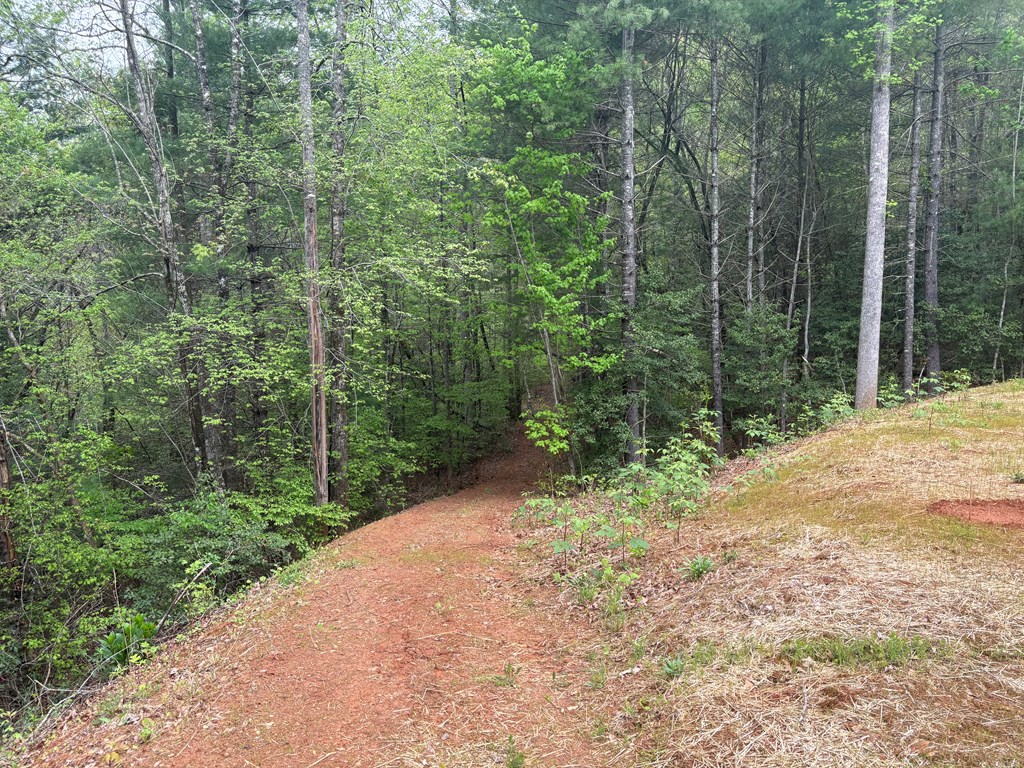 136 Caney Branch Road, MURPHY, North Carolina image 29