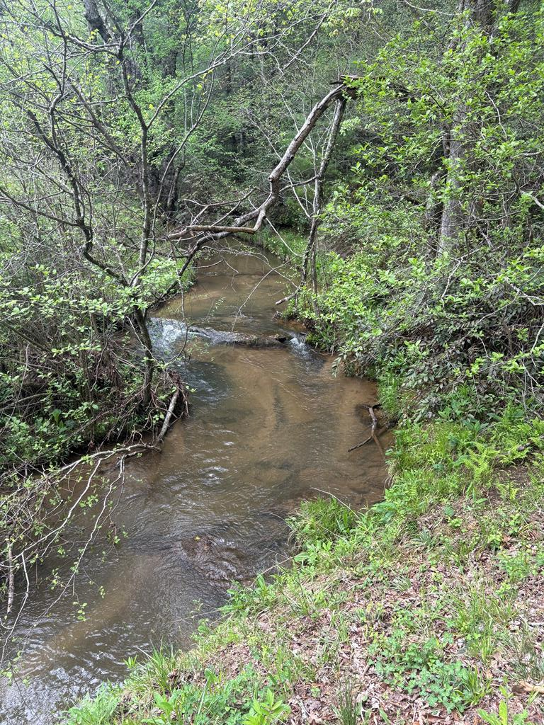136 Caney Branch Road, MURPHY, North Carolina image 3