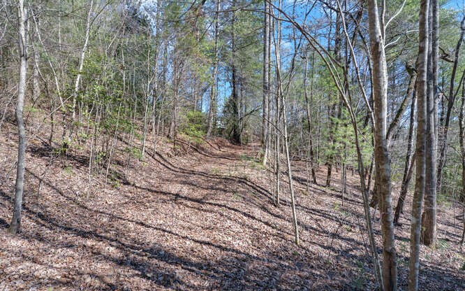 136 Caney Branch Road, MURPHY, North Carolina image 39