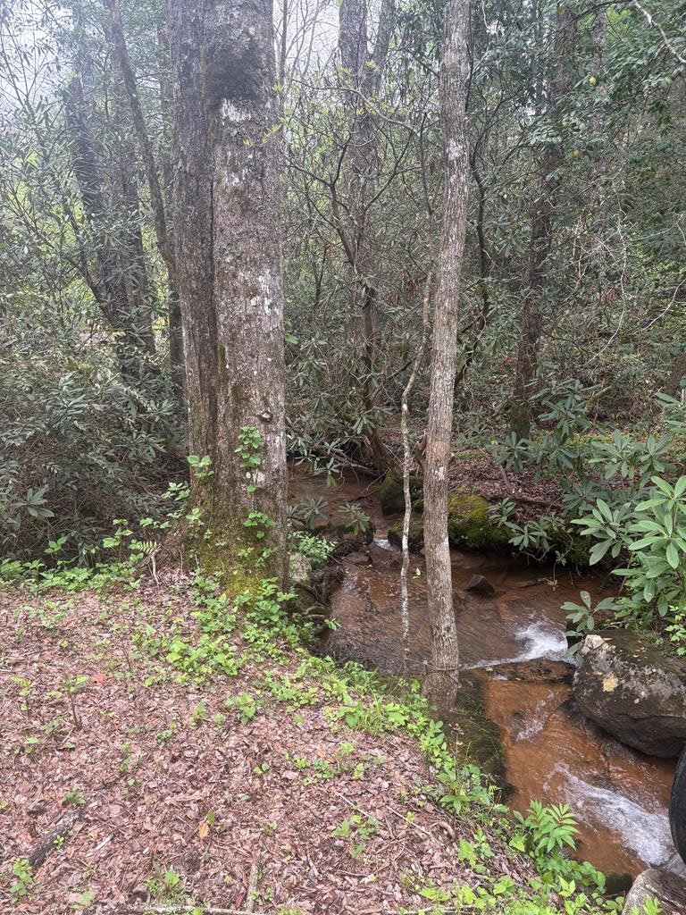 136 Caney Branch Road, MURPHY, North Carolina image 28