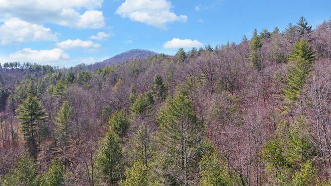 136 Caney Branch Road, MURPHY, North Carolina image 37