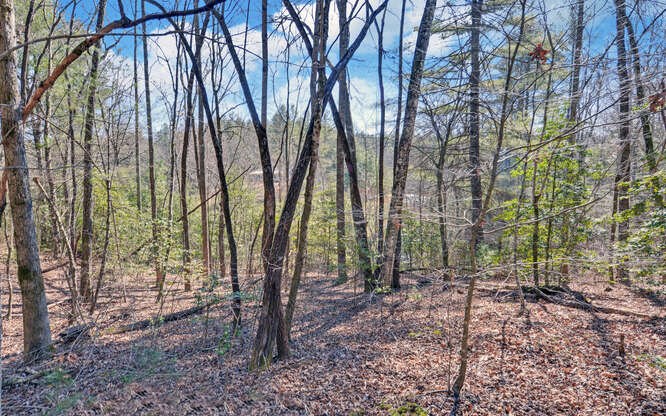 136 Caney Branch Road, MURPHY, North Carolina image 41