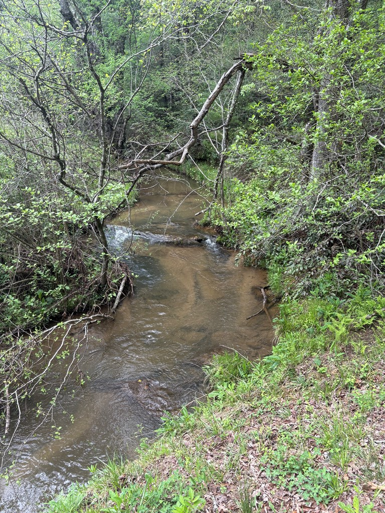 136 Caney Branch Road, MURPHY, North Carolina image 27