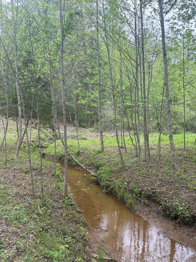 136 Caney Branch Road, MURPHY, North Carolina image 30