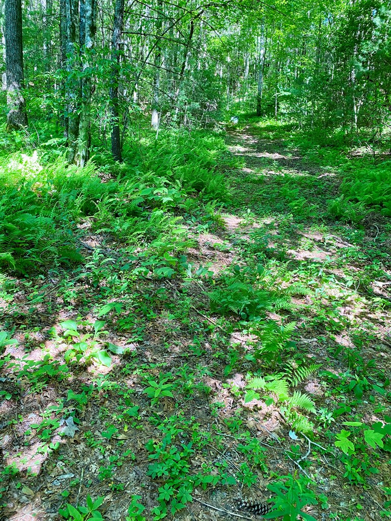 00 Deer Run - Lot 26 #26, ROBBINSVILLE, North Carolina image 3