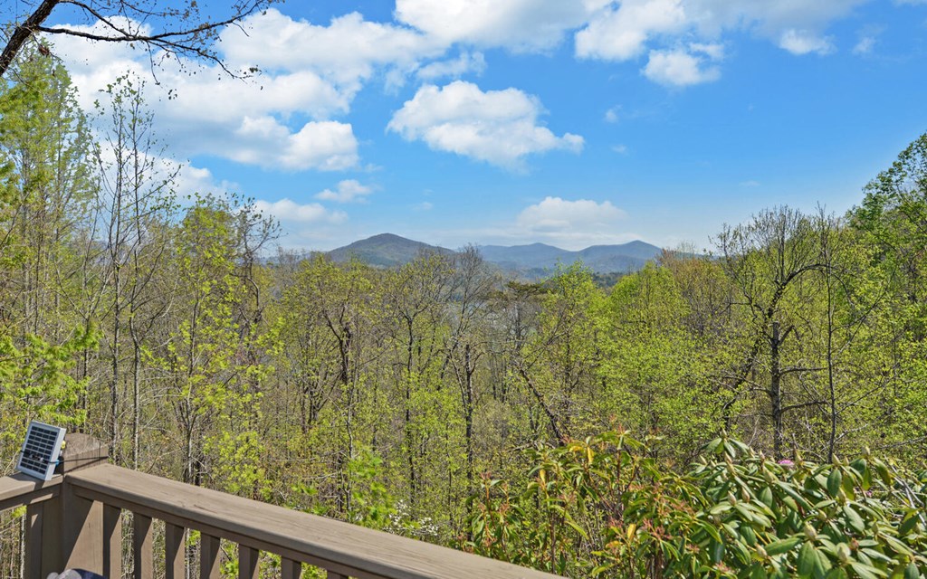 82 Magnolia Lane, MURPHY, North Carolina image 25