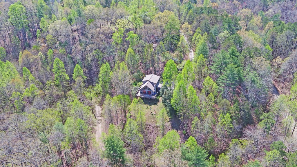 82 Magnolia Lane, MURPHY, North Carolina image 49