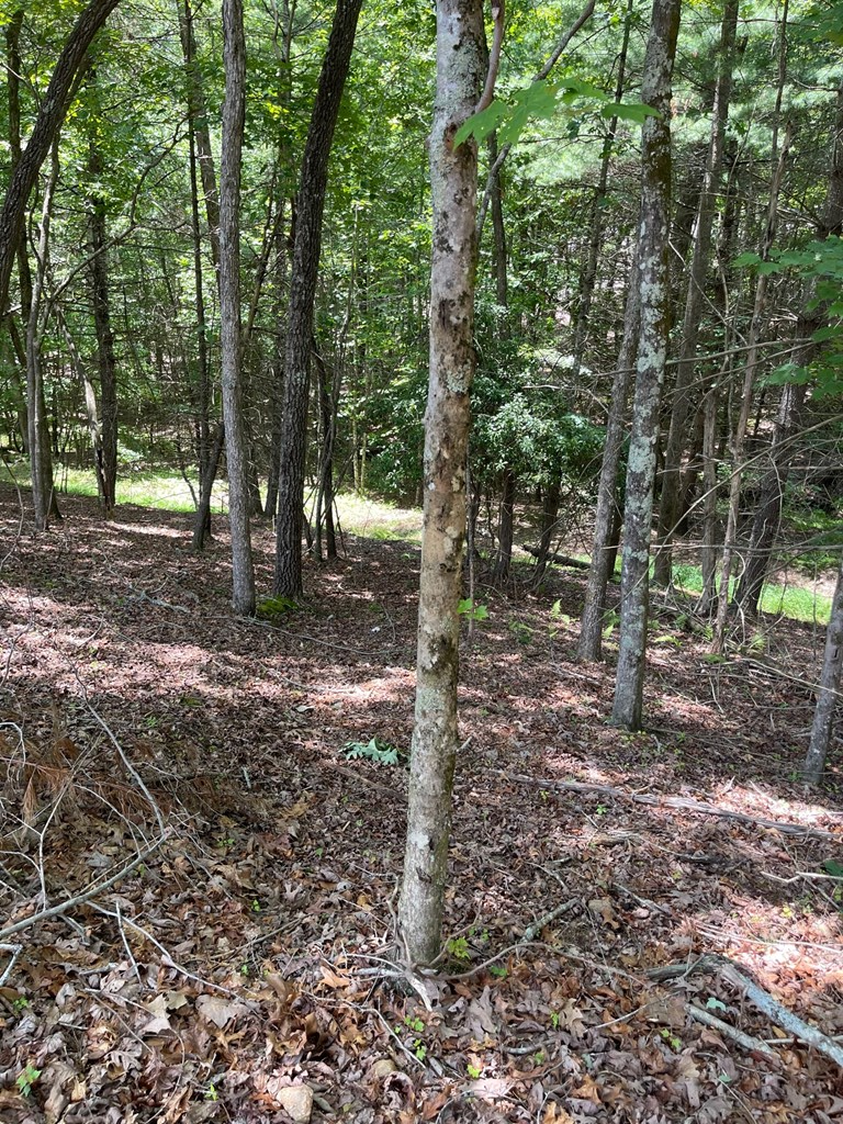 Lot 95 The Ridges #95, MORGANTON, Georgia image 8