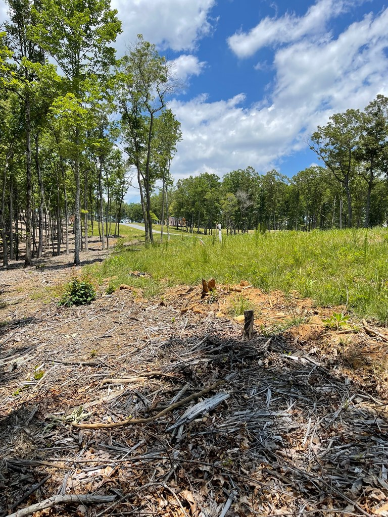 Lot 95 The Ridges #95, MORGANTON, Georgia image 12