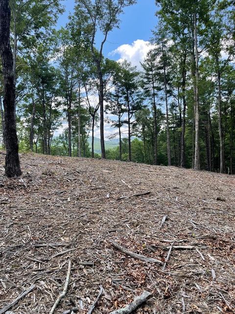 Vacant Land For Sale - LOT 95 The Ridges #95<br/> MORGANTON, GA 30560