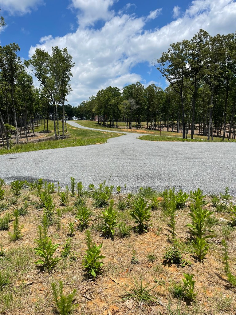 Lot 95 The Ridges #95, MORGANTON, Georgia image 5