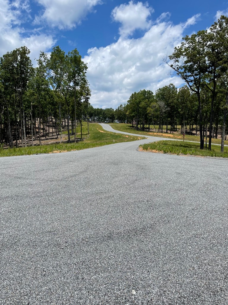 Lot 95 The Ridges #95, MORGANTON, Georgia image 15