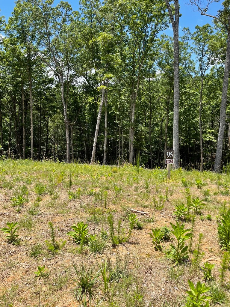 Lot 95 The Ridges #95, MORGANTON, Georgia image 4