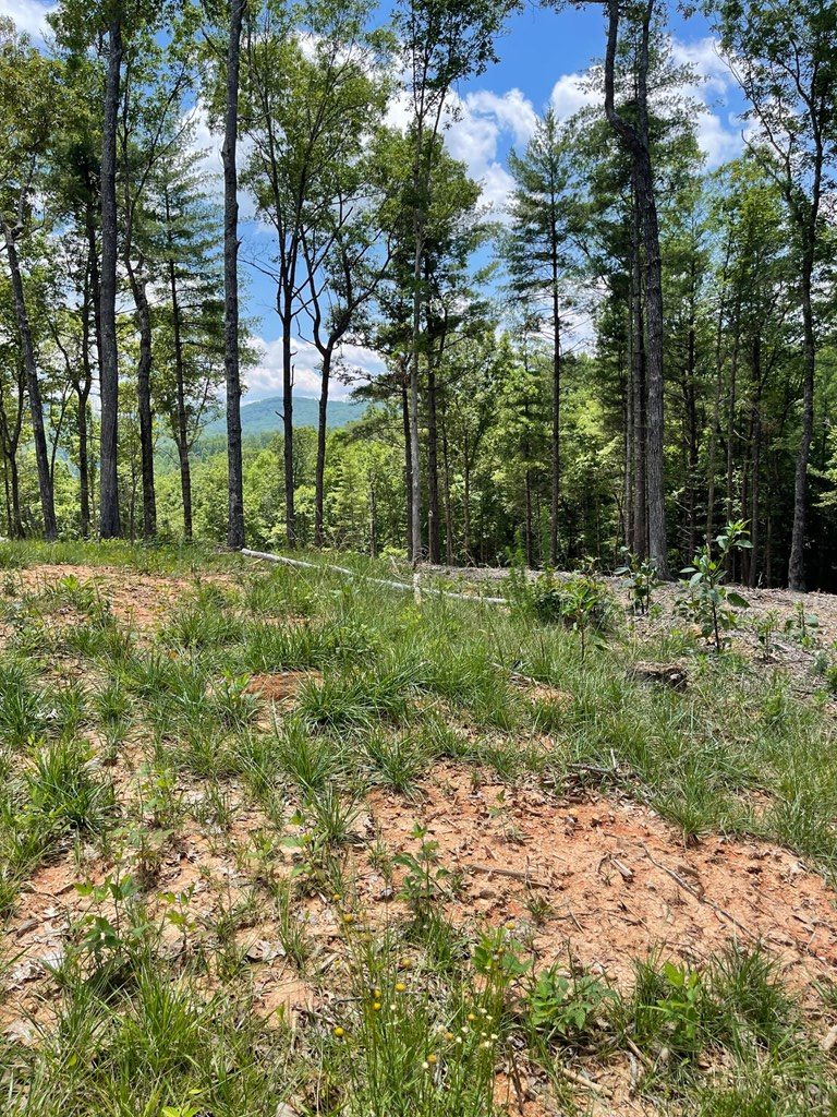 Lot 95 The Ridges #95, MORGANTON, Georgia image 6