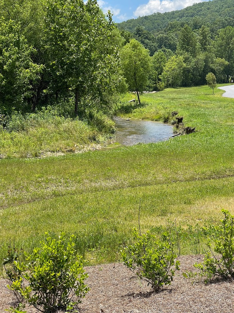 Lot 95 The Ridges #95, MORGANTON, Georgia image 20