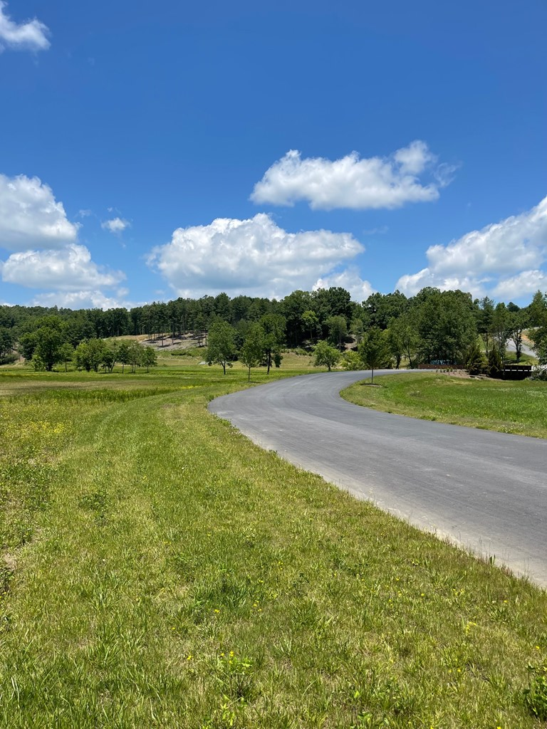 Lot 95 The Ridges #95, MORGANTON, Georgia image 13