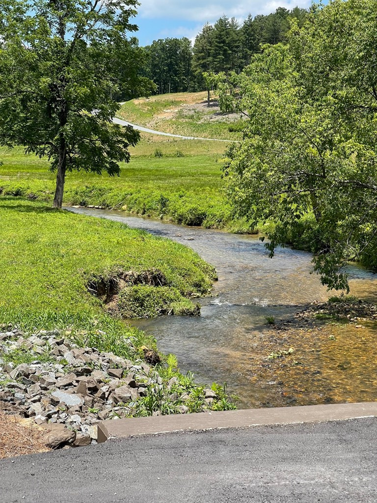 Lot 95 The Ridges #95, MORGANTON, Georgia image 19