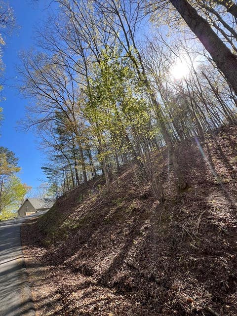 Vacant Land For Sale - LOT 2 Lonesome Pine<br/> MURPHY, NC 28906
