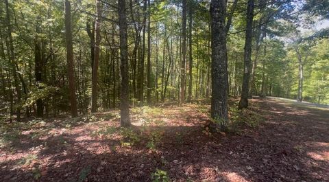 Vacant Land For Sale - 1.81 AC Nature Valley Trail #24<br/> MURPHY, NC 28906