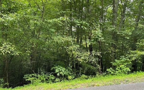 Vacant Land For Sale - LOT 7 Bear Trail #7<br/> Towns County, HIAWASSEE, GA 30546