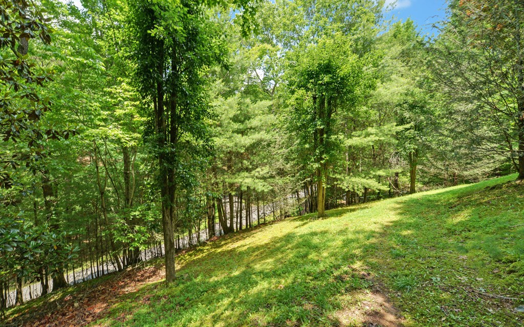 56 Waxwing Trail, MURPHY, North Carolina image 46