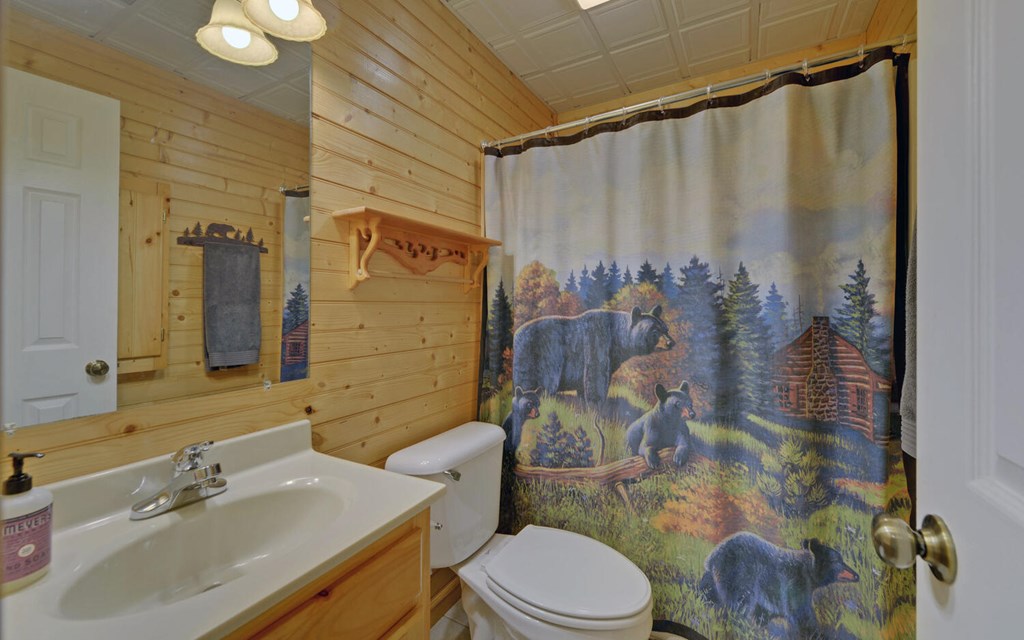 56 Waxwing Trail, MURPHY, North Carolina image 33