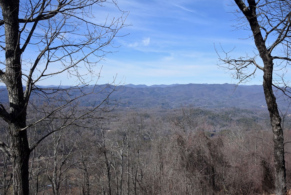 1670 Timberwood Drive, MARBLE, North Carolina image 48