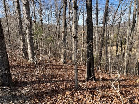 Vacant Land For Sale - LOT 77A Licklog Ridge #77A<br/> HAYESVILLE, NC 28904