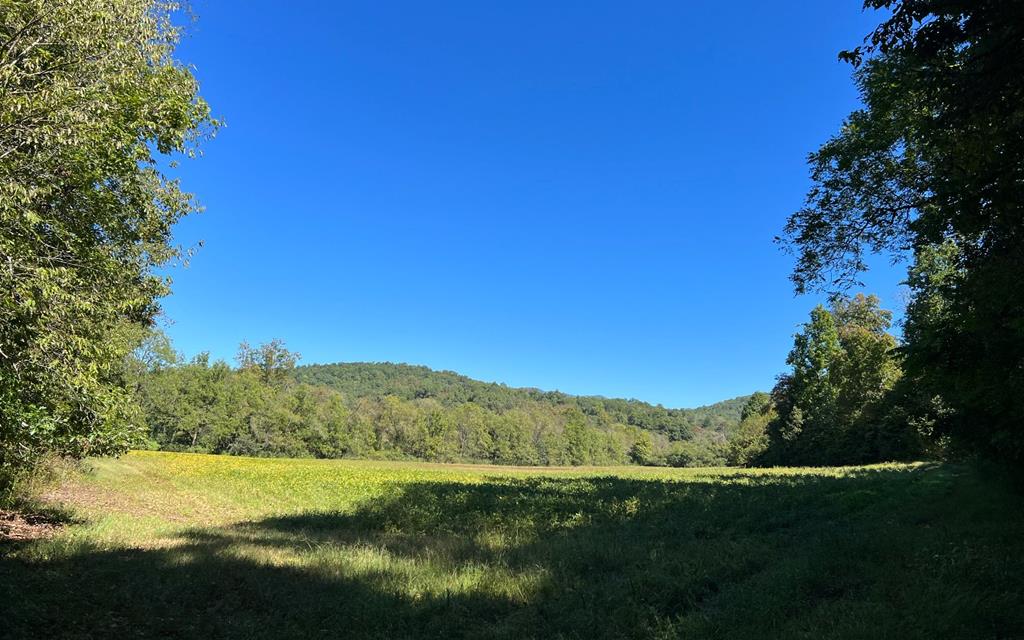 37+ Ac Jarrett Rd #35.85, HAYESVILLE, North Carolina image 35
