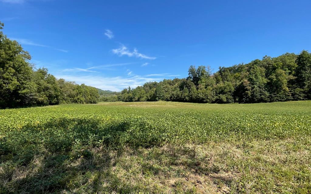 37+ Ac Jarrett Rd #35.85, HAYESVILLE, North Carolina image 3