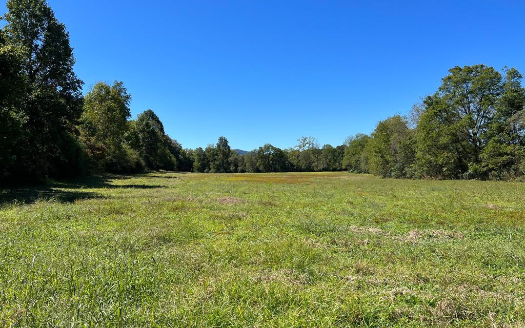 37+ Ac Jarrett Rd #35.85, HAYESVILLE, North Carolina image 50