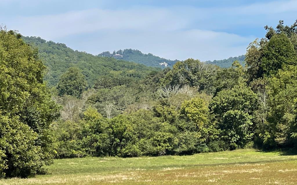 37+ Ac Jarrett Rd #35.85, HAYESVILLE, North Carolina image 7