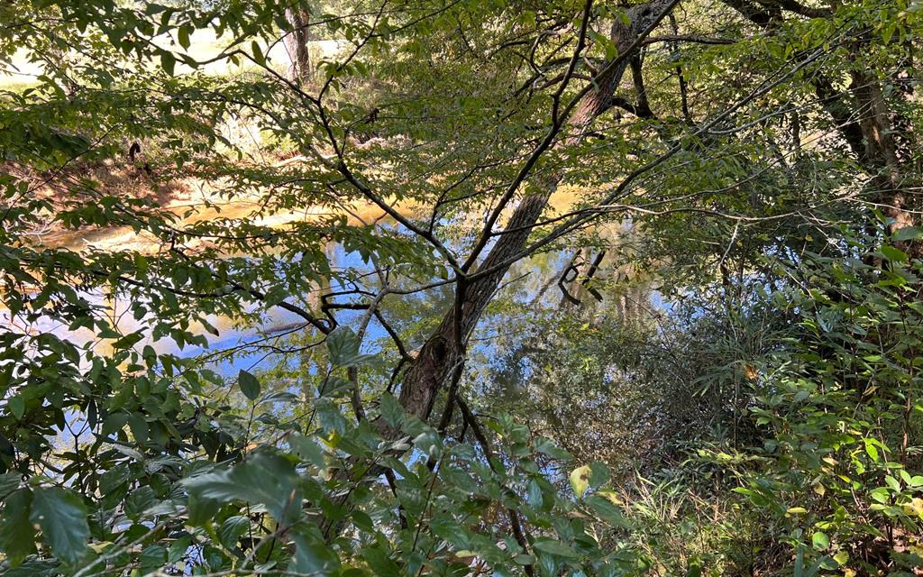 37+ Ac Jarrett Rd #35.85, HAYESVILLE, North Carolina image 40