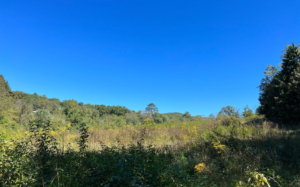 37+ Ac Jarrett Rd #35.85, HAYESVILLE, North Carolina image 21