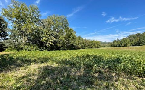 Vacant Land For Sale - 37+ AC Jarrett Rd #35.85<br/> HAYESVILLE, NC 28904