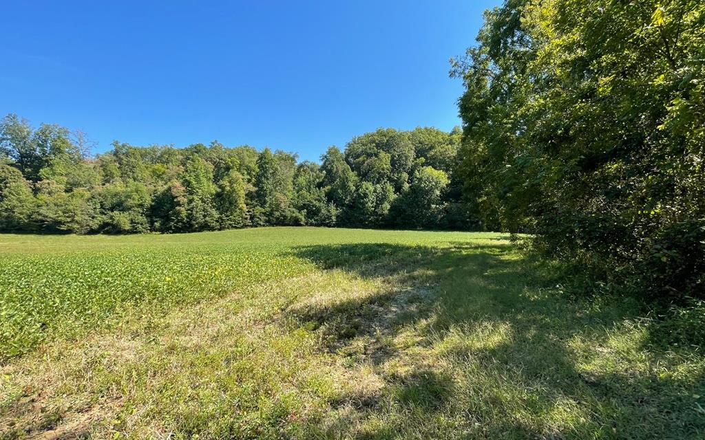 37+ Ac Jarrett Rd #35.85, HAYESVILLE, North Carolina image 5