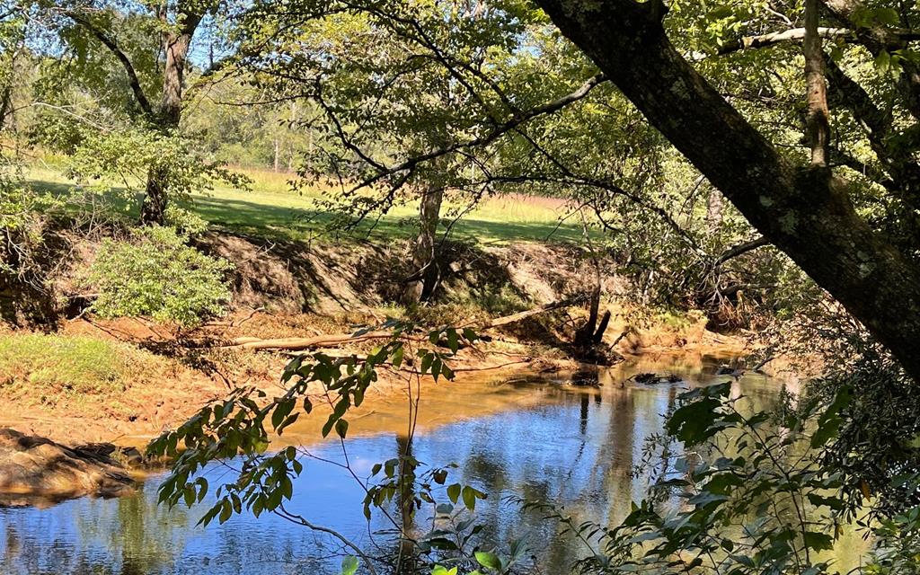 37+ Ac Jarrett Rd #35.85, HAYESVILLE, North Carolina image 16