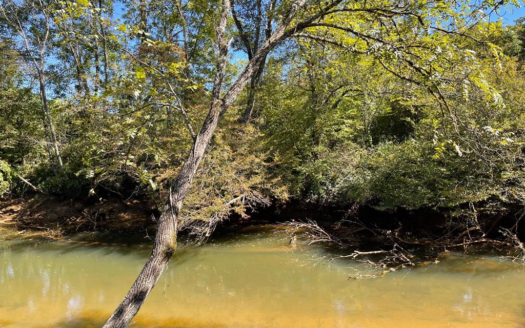 37+ Ac Jarrett Rd #35.85, HAYESVILLE, North Carolina image 17
