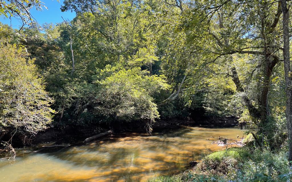 37+ Ac Jarrett Rd #35.85, HAYESVILLE, North Carolina image 19