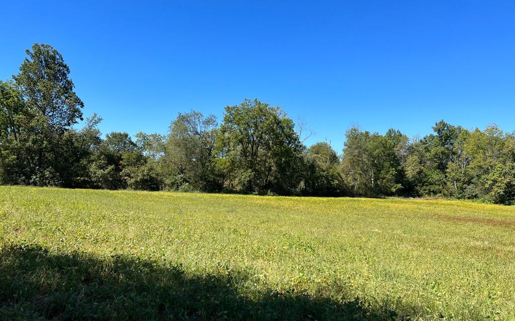 37+ Ac Jarrett Rd #35.85, HAYESVILLE, North Carolina image 48