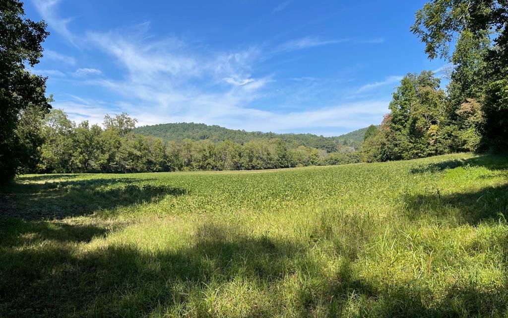 37+ Ac Jarrett Rd #35.85, HAYESVILLE, North Carolina image 8