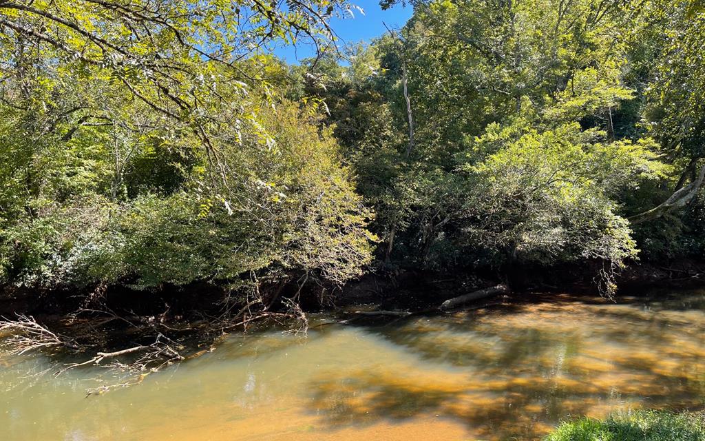 37+ Ac Jarrett Rd #35.85, HAYESVILLE, North Carolina image 18