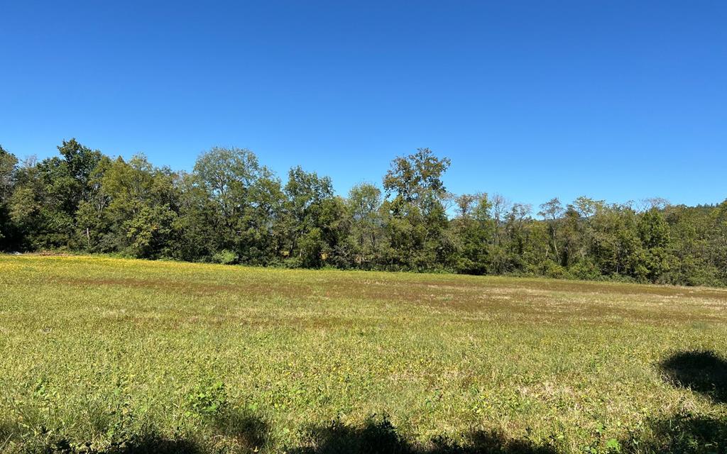 37+ Ac Jarrett Rd #35.85, HAYESVILLE, North Carolina image 47