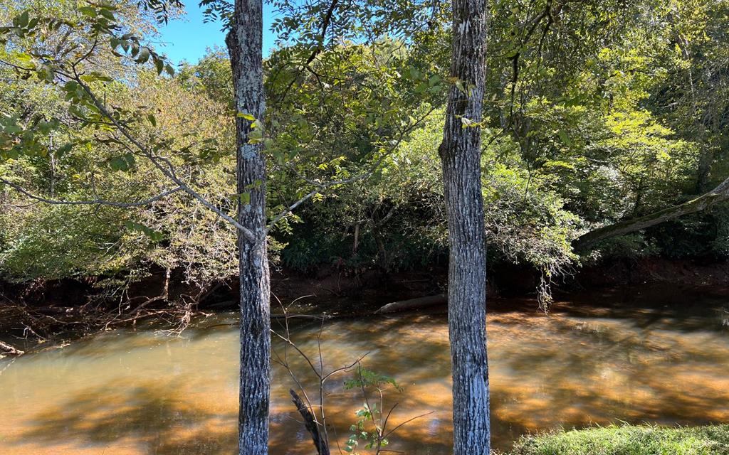 37+ Ac Jarrett Rd #35.85, HAYESVILLE, North Carolina image 4